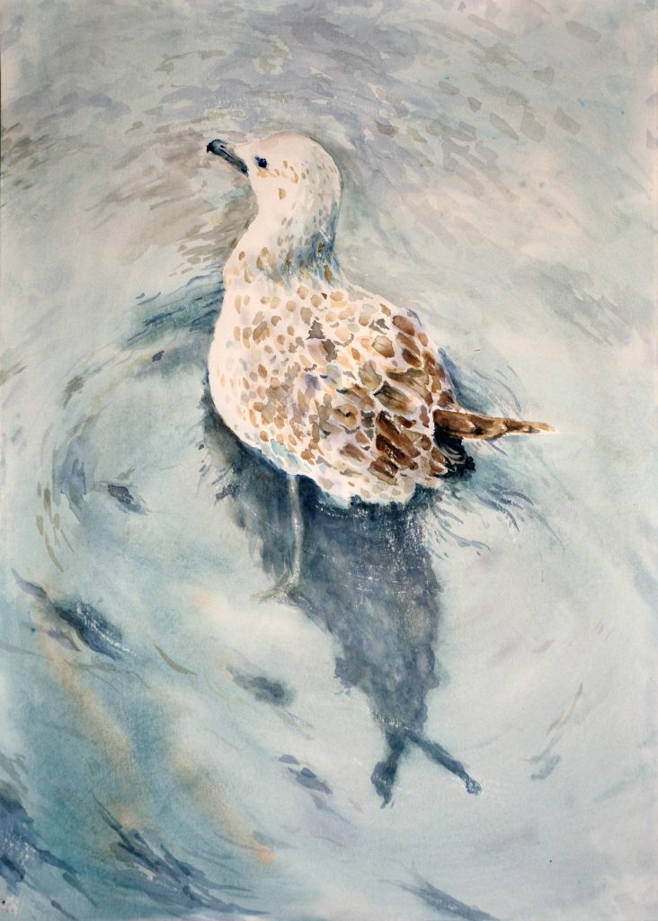 Piotr Bubak-80×60 cm-akwarela-Uwaga Jastarnia